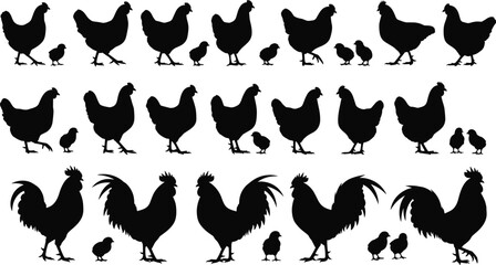 Chicken, chick, rooster silhouettes, farm birds, black vector icons, animal poses, rural poultry, clipart illustration, livestock design, agriculture