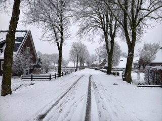 Snowy rural road with tire tracks, houses, and trees in a winter landscape scene