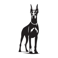 Obraz premium Doberman Pinscher Vector Silhouette – Strong and Elegant Guard Dog Outline, Perfect for Pet Lovers, Logos, Prints, Graphic Design, Illustrations, Home Decor, Stencils, Icons, and Creative Projects 