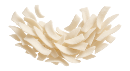 Coconut flakes arranged in a row.
