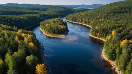 Obraz premium Aerial view of a winding river surrounded by vibrant autumn foliage in a serene forest landscape.
