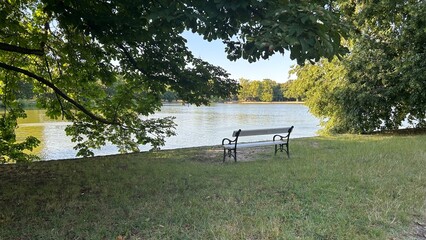Calm park view with empty bench on the bank of a lake, Trees reflection on water surface, breeze slightly moving the branches.