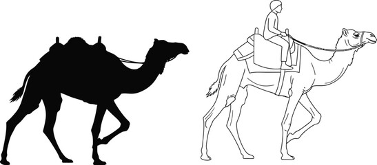 Camel silhouette desert animal outline drawing illustration