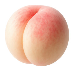 Fototapeta premium Japanese snow white peach.