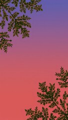 A pink and purple background with green leaves on it.