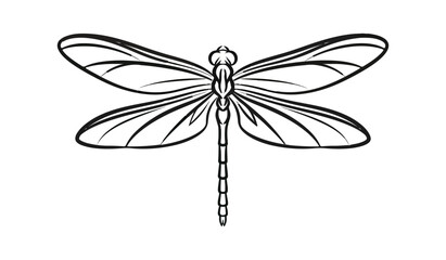 Dragonfly illustration art print