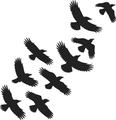 PrintSilhouette of flying birds, black and white illustration, nature wildlife art, avian flock in motion, minimalist bird design, Adobe Stock