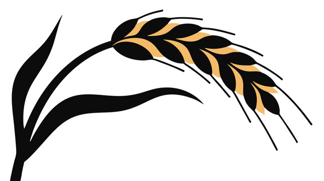 Vector icon, graphic illustration of a wheat ear, isolated on a transparent background. Black and gold wheat ear illustration.