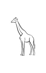 Giraffe silhouette graphic design