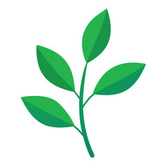 A delicate green leaf sprig with a small twig featuring three vibrant leaves perfect for nature themed designs