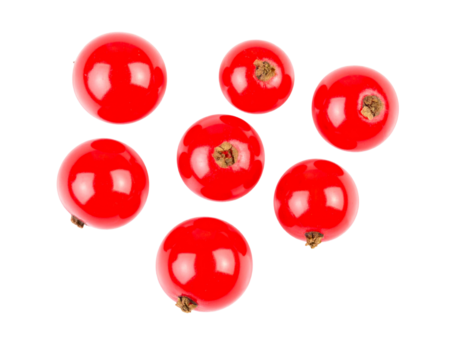 Red currants isolated on transparent background