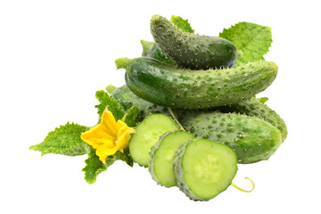 Cucumber with leaves isolated