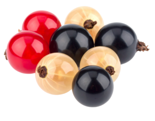 Black, Red, and White Currants isolated on transparent background