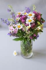 A bouquet of wildflowers on a white background: daisies, clover, and others