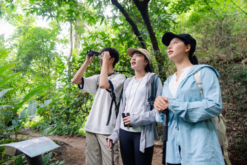 Hikers observing wildlife with binoculars in lush forest