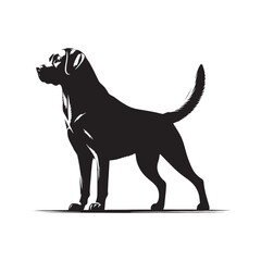 Labrador Retriever vector silhouette showcasing loyal, friendly, and playful nature, ideal for pet art, dog breed graphics, creative design, wall decor, digital projects, logos, and illustrations.
