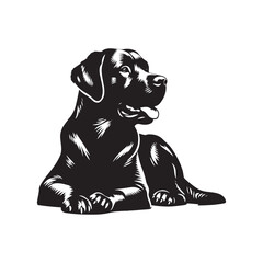 Fototapeta premium Labrador Retriever vector silhouette showcasing loyal, friendly, and playful nature, ideal for pet art, dog breed graphics, creative design, wall decor, digital projects, logos, and illustrations. 