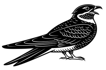 Naklejka premium Isolated on white background, a nightjar bird with open beak illustration