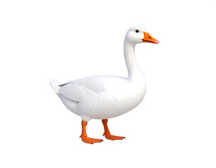 Obraz premium Realistic white goose with playful features and detailed textures
