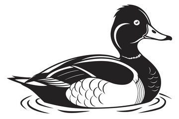 Illustration of a ring neck duck swimming in water isolated on white background