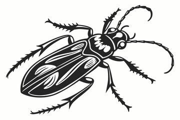 Detailed vector illustration of a beetle isolated on white background