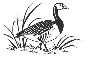 Illustration of a goose standing in grass isolated on white background