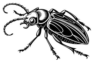 Detailed beetle illustration isolated on white background, perfect for design
