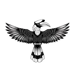 Fototapeta premium Hornbill Bird Illustration with Wings Open