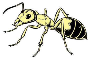 Ant insect vector drawing isolated on white background