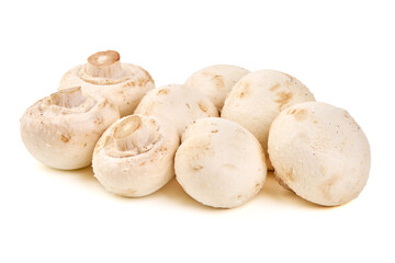 Agaricus bisporus Mushrooms, isolated on white background