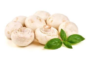 Mushrooms and Basil, isolated on white background