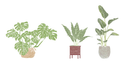 Set of Indoor Plants in Pots –  Hand-Drawn  Linocut Style Botanical Illustrations - Monstera, Strelitzia, and Tropical Plants © PEPERIRO