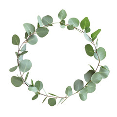Obraz premium Eucalyptus wreath arrangement with delicate green leaves isolated on transparent background