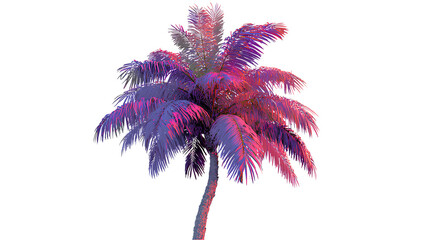 Pink and purple neon palm tree on a white background, transparent PNG image.