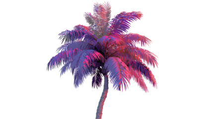 Pink and purple neon palm tree on a white background, transparent PNG image.