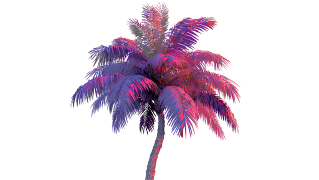 Pink and purple neon palm tree on a white background, transparent PNG image.