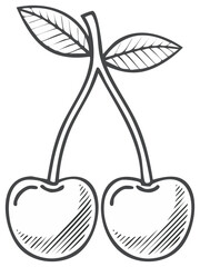 Fototapeta premium Sketch style illustration of fresh cherries, stem and leaves, isolated