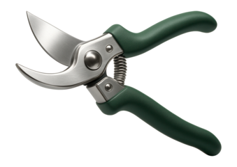 Green-handled metal secateurs positioned for precise pruning.