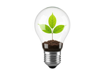 Plant growing inside a lightbulb isolated on transparent background