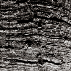 old tree bark texture with light and shadow patterns, abstract background 