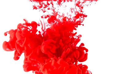 Fototapeta premium Red ink swirling in water