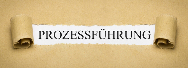 Prozessführung