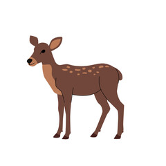 Flat illustration of a young deer with light spots on its back and a gentle expression. Shown in side view, with simple lines and warm brown tones. Ideal for forest or wildlife themed designs. Vector
