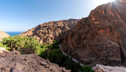 Fototapeta premium Rocky canyon valley with trees