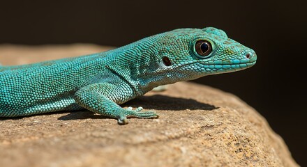 Fototapeta premium Close-up of a Vibrant Turquoise Gecko on a Rock