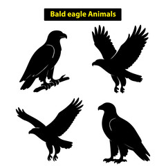 Fototapeta premium Bald Eagle Wildlife Illustration