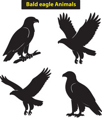 Obraz premium Bald Eagle Wildlife Illustration