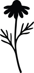 Vector Illustrator Chamomile Flower Single Stem Minimalist Black Silhouette