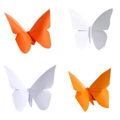Collection of colorful butterflies in various colors and designs isolated on white background