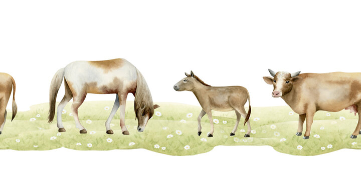 Farm pasture with horses, cows and donkeys on green field watercolor seamless border isolated on white. Hand drawn grazing animals clip art. Horizontal countryside landscapes for tourist designs